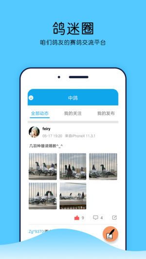 中鸽网信鸽赛事直播平台截图