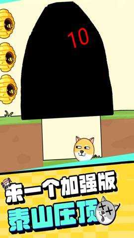 我的狗狗截图
