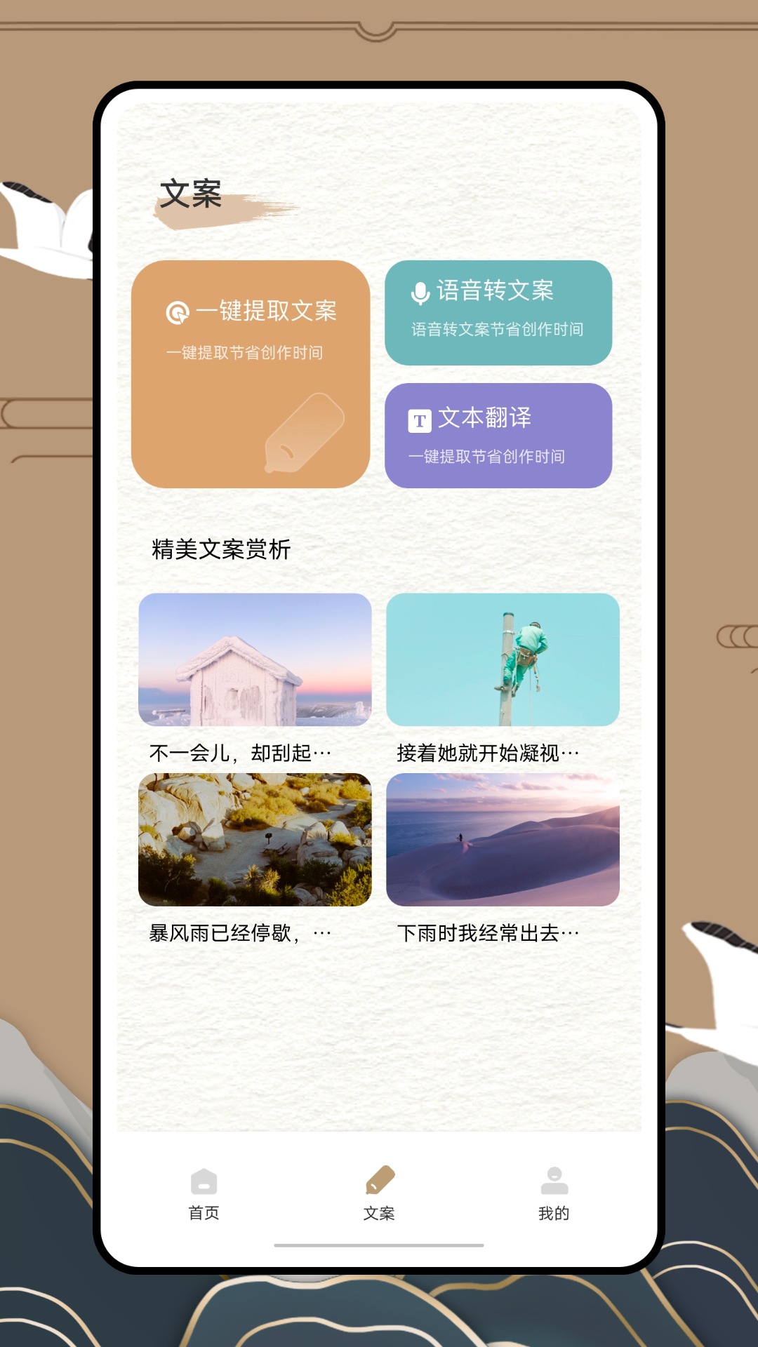 Anyview阅读器截图