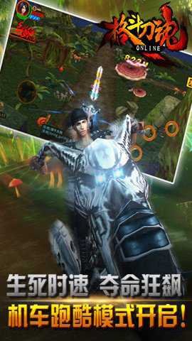 格斗刀魂截图