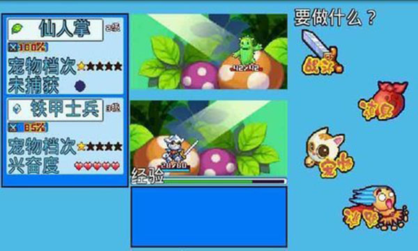 宠物王国5彩虹最新版截图