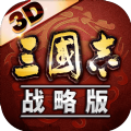 三国志·战略