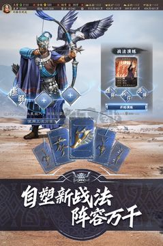 三国志·战略截图