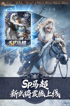 三国志·战略截图