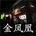 孙美琪疑案金凤凰完整版