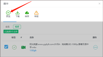 飞鸟下载器怎么使用